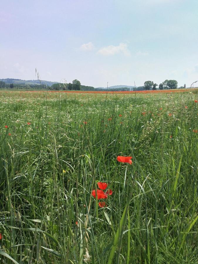 Pensjonat Bio Agriturismo Pratini Monte Lopio Zewnętrze zdjęcie