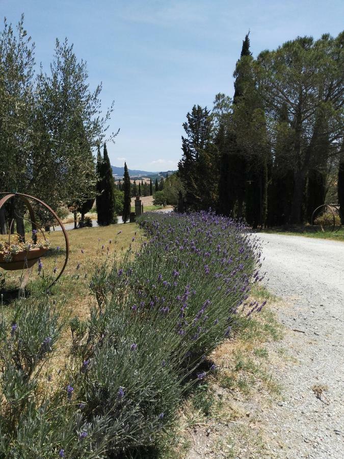 Pensjonat Bio Agriturismo Pratini Monte Lopio Zewnętrze zdjęcie